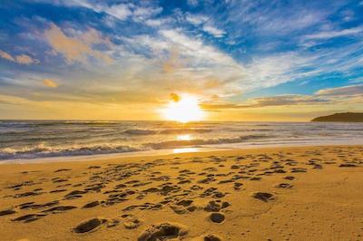 سرف بلو کاتا