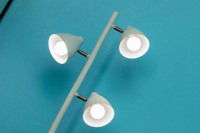 سرف بلو کاتا