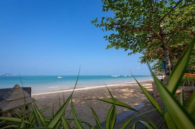 ونیز سی ویوو ریسورت