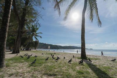 ناک ناک بیچ بوتیک