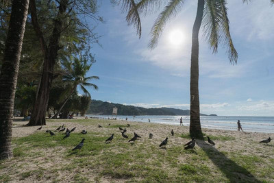 ناک ناک بیچ بوتیک
