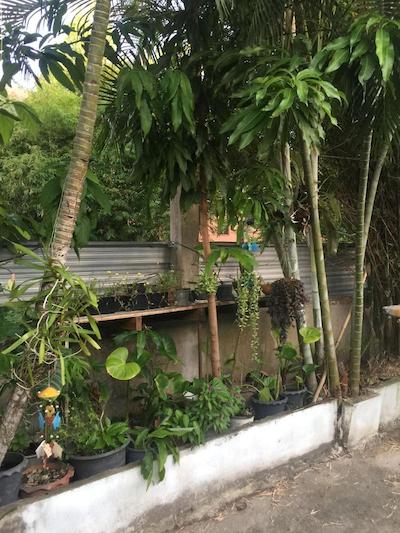 نان این بونگالو