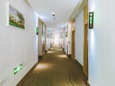 گرین تری این شانگهای فنگژیان دیستریکت نانکیائوژی