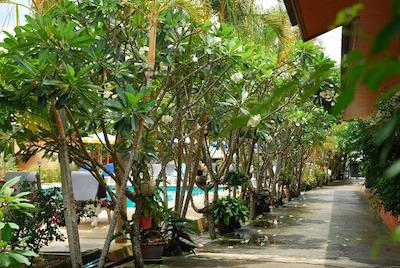 پی اس 2 ریسورت