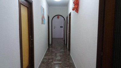 بی بی سنترال سیتی