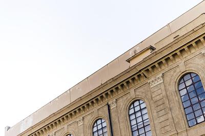 بلینی سوییت