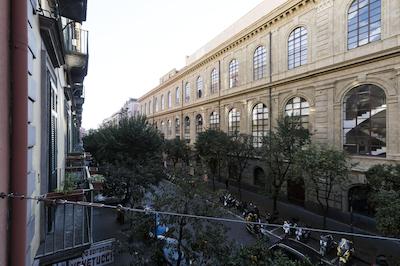 بلینی سوییت