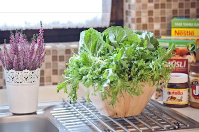 آپارت هتل بست