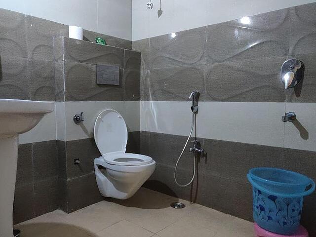 کالیستا این جایپور