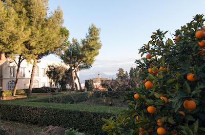 کازا تولنتینو