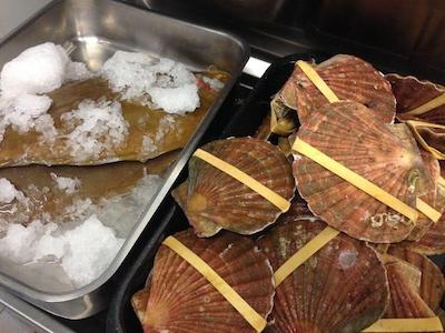 هتل لیندنهوف