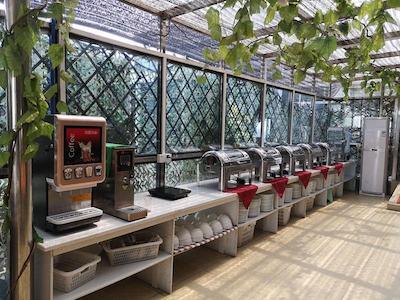 وینا اینترنشنال ژینتانگ جین فانگژیچژینگ