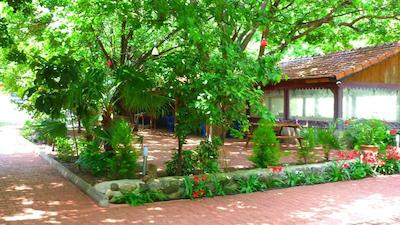 سیمگه پنسیون