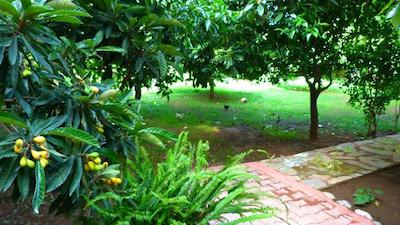 سیمگه پنسیون