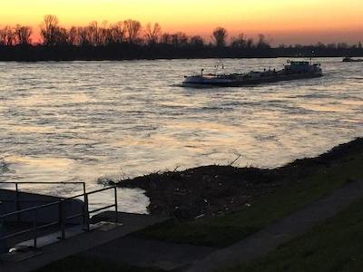 مسزیمر 4 یو نوردپاکسیدلانگ