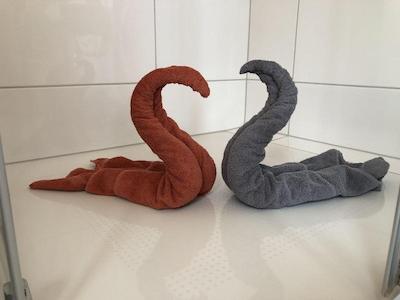 مسزیمر 4 یو نوردپاکسیدلانگ