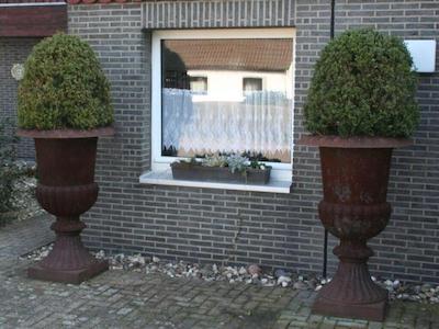 مسزیمر 4 یو نوردپاکسیدلانگ