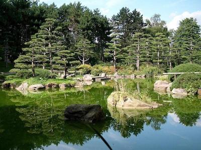 مسزیمر 4 یو نوردپاکسیدلانگ