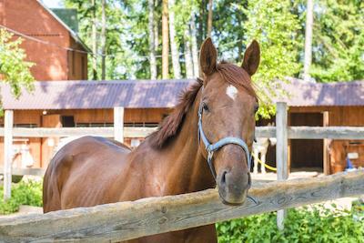 اطلس پاک هتل