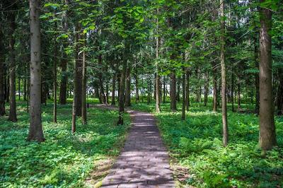 اطلس پاک هتل