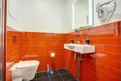 لادومیر پرووو