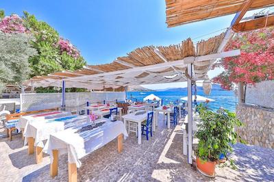 آنفورا اوتل