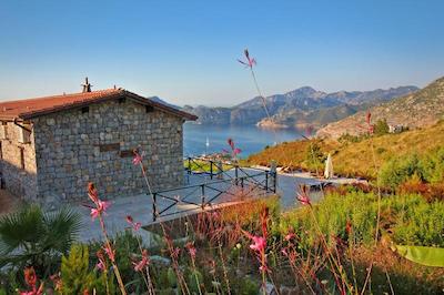 ککیک بوتیک هتل