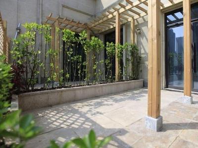 گرین تری این انکینگ دوژیو اونیو گرین لند متروپل