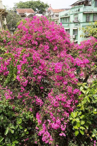 بنتلی ز هتل کلابا