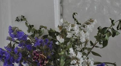 ارکال پنسیون