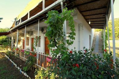 ماوی پنسیون