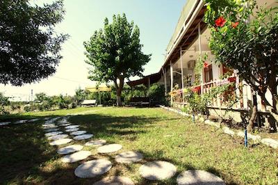 ماوی پنسیون