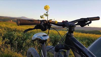 اوستریا دل ارکیا