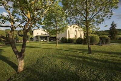 اوستریا دل ارکیا