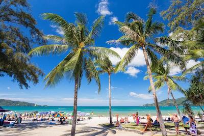 بیچ پکرز هاستل