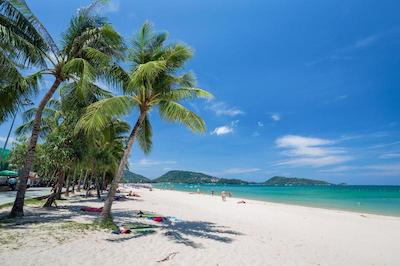 بیچ پکرز هاستل