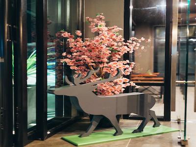 اسریسوکسانت اسکوئر