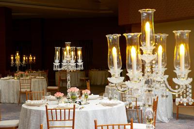 رویال تولیپ موسکات