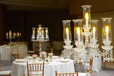 رویال تولیپ موسکات