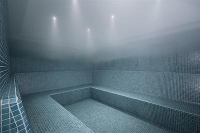 رویال تولیپ موسکات