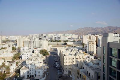 رویال تولیپ موسکات