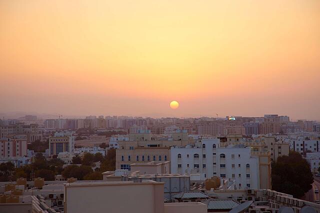 رویال تولیپ موسکات