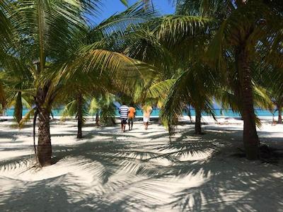 سرولین ویوو رزیدنس