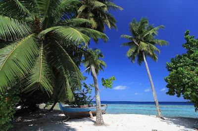 لوکال آیلند این