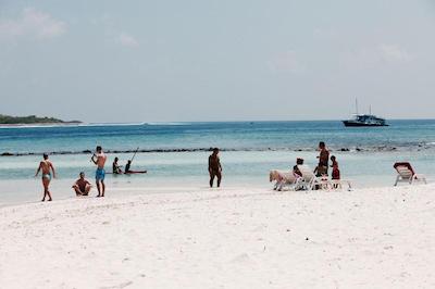 لوکال آیلند این