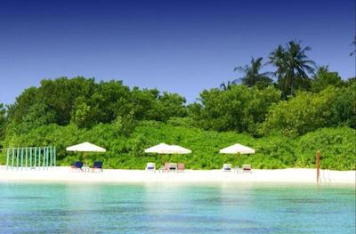 لوکال آیلند این