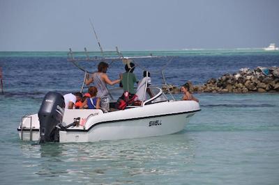 لوکال آیلند این