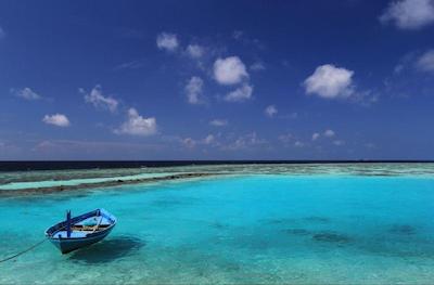 لوکال آیلند این