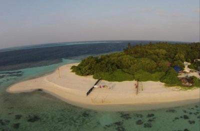 لوکال آیلند این