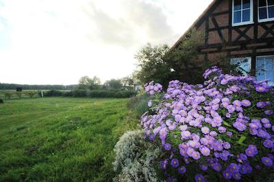 Seehof Zielow an der Müritz